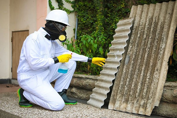 Affordable Mold Removal Company 